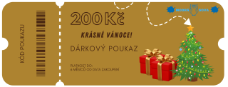 Bronzový vánoční poukaz 200 Kč 